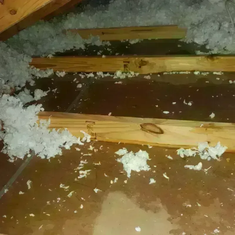 Attic Water Damage in Quincy, CA