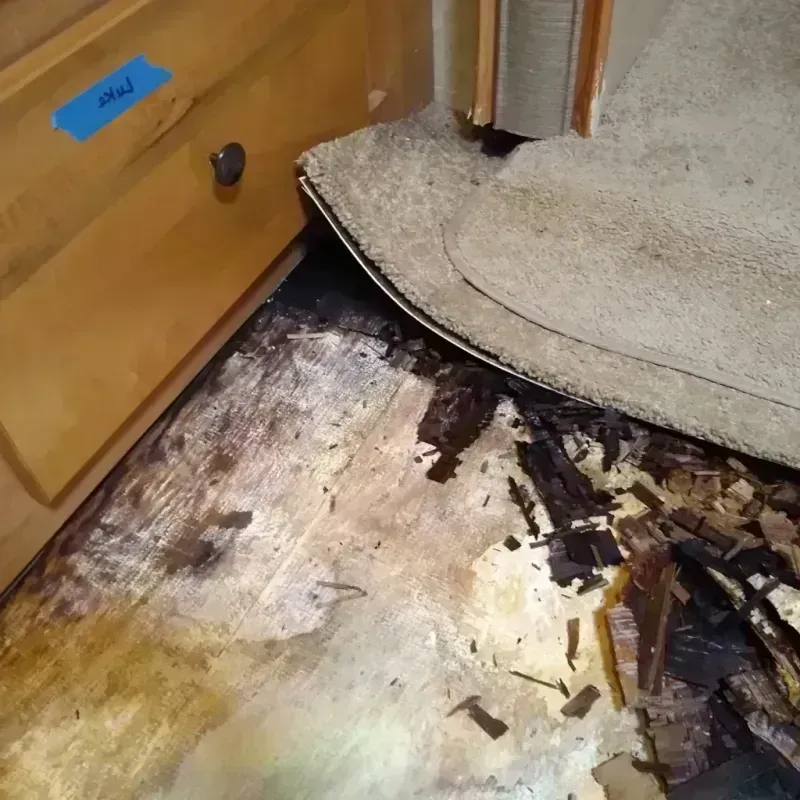 Wood Floor Water Damage in Quincy, CA